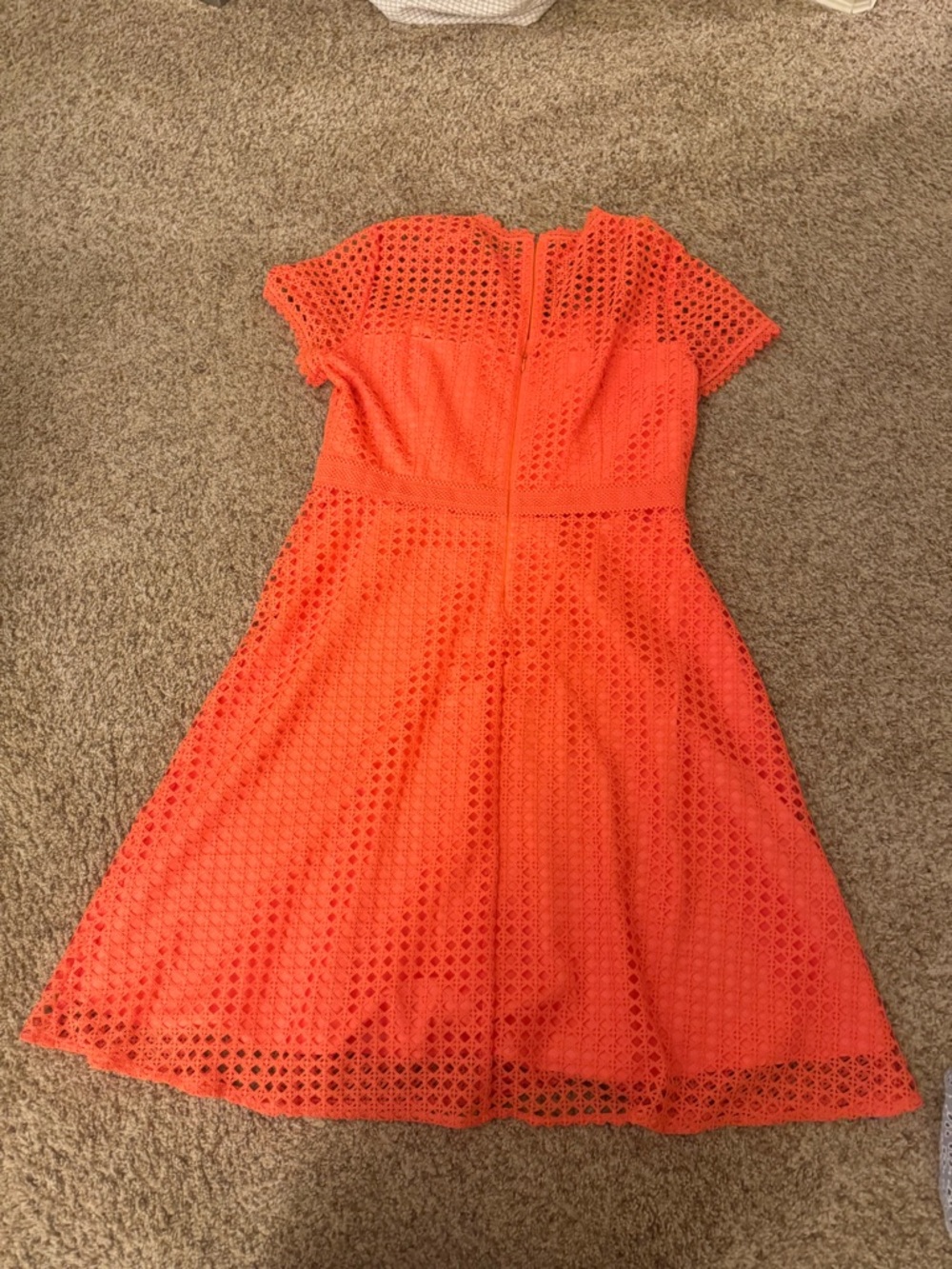 Bright coral  Eyelet Fit-and-Flare Dress - Picture 3 of 4
